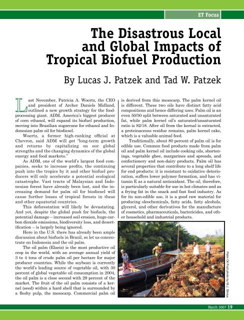 The Disastrous Local and Global Impacts of Tropical Biofuel ...