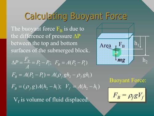 Fluids at rest.pdf