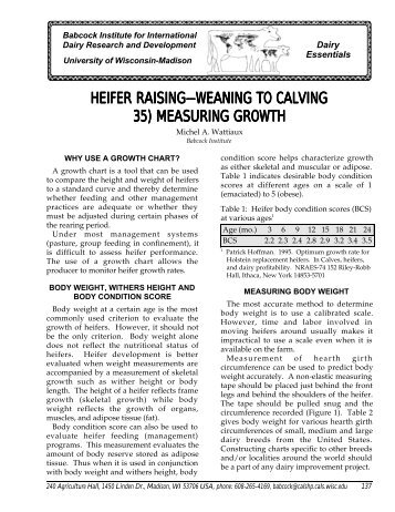 Heifer Raising - Weaning to Calving - Babcock Institute - University ...