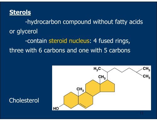 Lipids