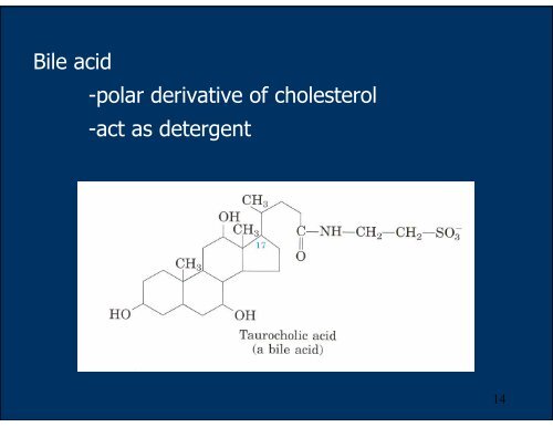 Lipids