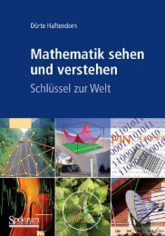 Mathematik sehen und verstehen  Schlusse - Haftendorn, Dorte