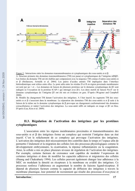 Fonction et régulation de la protéine ICAP-1alpha dans la ...