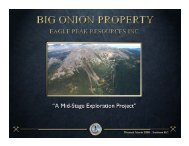 Big Onion Property - Minerals North