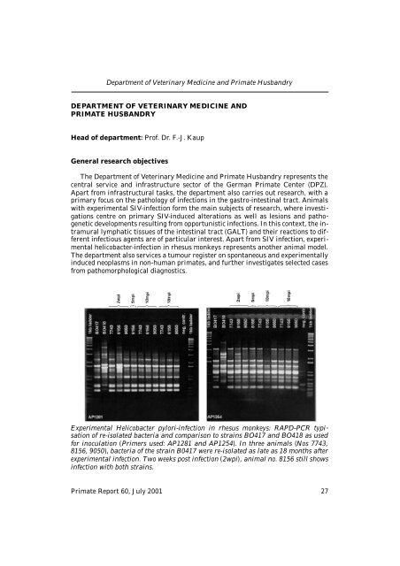 General research objectives - DPZ