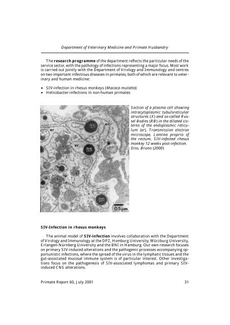 General research objectives - DPZ