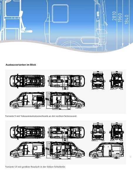 DelfisÃ‚Â® - AMBU-Tech AG