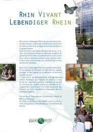 Description de l'association Rhin vivant / Lebendiger Rhein