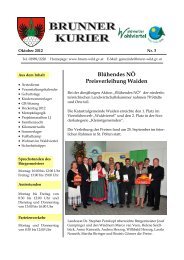 Datei herunterladen (981 KB) - .PDF - Gemeinde Brunn an der Wild