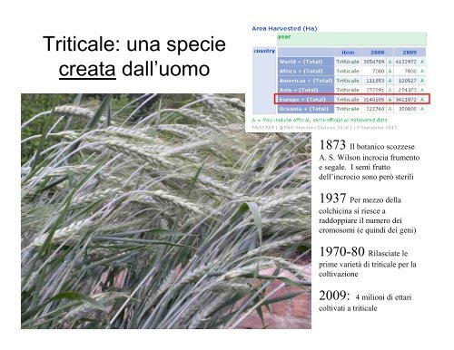 Dr. Piero Morandini: Alla ricerca di buoni caratteri: come ... - CusMiBio