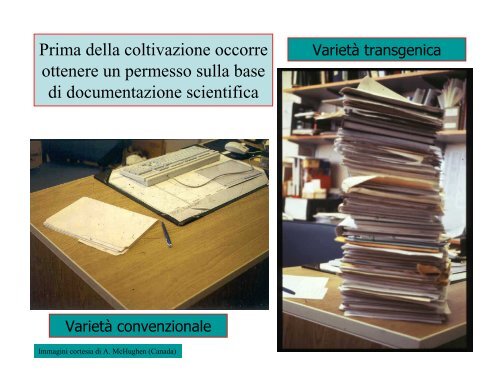 Dr. Piero Morandini: Alla ricerca di buoni caratteri: come ... - CusMiBio