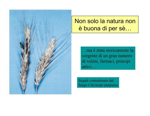 Dr. Piero Morandini: Alla ricerca di buoni caratteri: come ... - CusMiBio