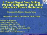 Campi Flegrei Deep Drilling Project - Unione Geotermica Italiana