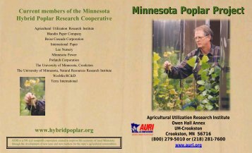 Hybrid Poplar brochure legal size.pdf - AURI