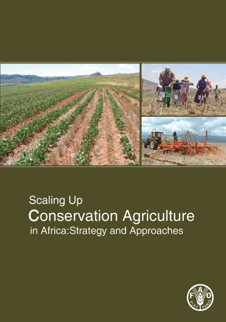 Scaling-up Conservation Agriculture in Africa: Strategy and - FAO