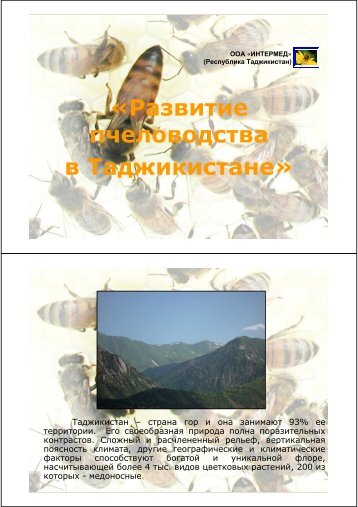 «Развитие пчеловодства в Таджикистане» - TAFF