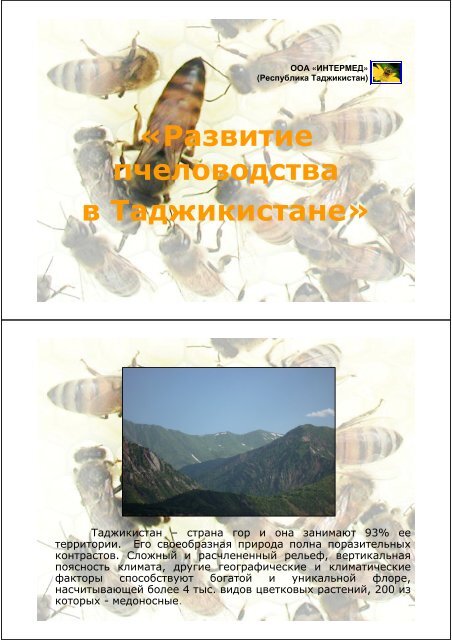 «Развитие пчеловодства в Таджикистане» - TAFF