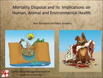 Mortality Disposal and its Implications on Human, Animal and ...