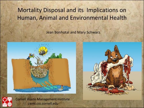 Mortality Disposal and its Implications on Human, Animal and ...