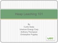 Heap Leaching 101