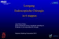 Leergang endoscopische chirurgie, Jean-Pierre Pierie