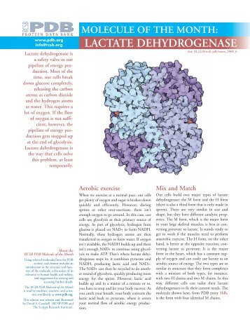 LACTATE DEHYDROGENASE - RCSB Protein Data Bank