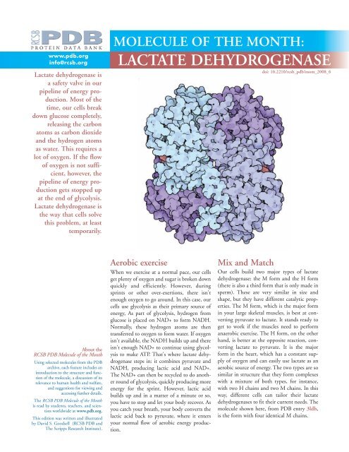 LACTATE DEHYDROGENASE - RCSB Protein Data Bank