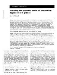 Inferring the genetic basis of inbreeding depression in plants