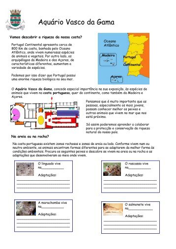 Conheces os peixes da nossa costa - AquÃ¡rio Vasco da Gama