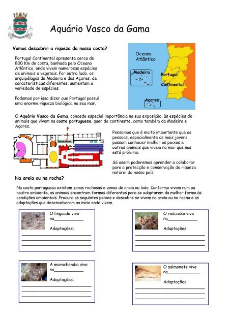 Conheces os peixes da nossa costa - AquÃ¡rio Vasco da Gama