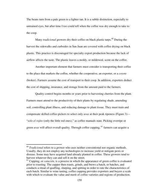 i Patrick W. Staib Anthropology This dissertation is approved, and it ...