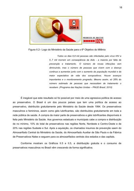 Dissertação mestrado Maria Gabriela Simões dez 2010.pdf - INT