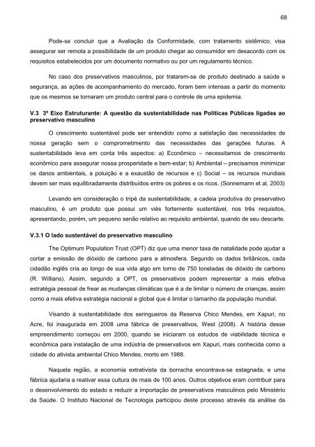 Dissertação mestrado Maria Gabriela Simões dez 2010.pdf - INT