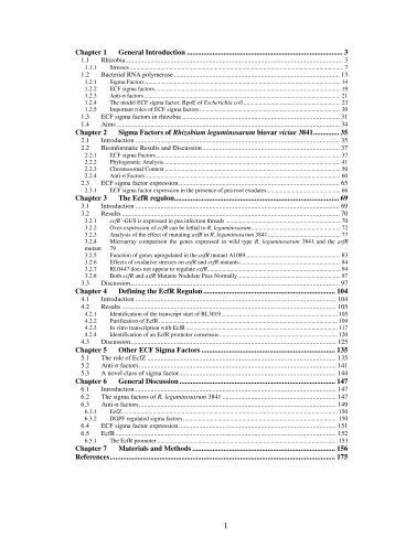 Analysis of ECF sigma factors of Rhizobium leguminosarum biovar ...