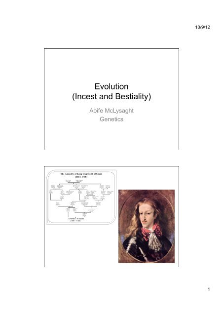 Evolution (Incest and Bestiality)