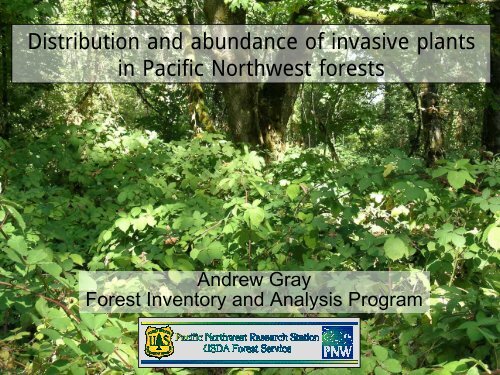 Distribution And Abun Of Invasive Plants In Pacific Northwest - Invasive Ground Cover Pacific Northwest Distribution And Abun Of Invasive Plants In Pacific Northwest - Invasive Ground Cover Pacific Northwest