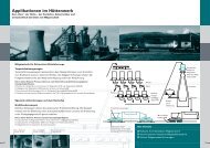 Applikationen im Hüttenwerk - Schenck Process GmbH