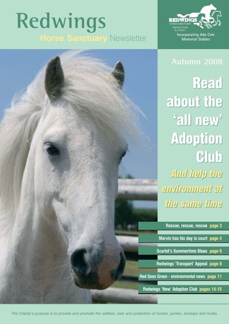 Autumn Newsletter 2008 - Redwings