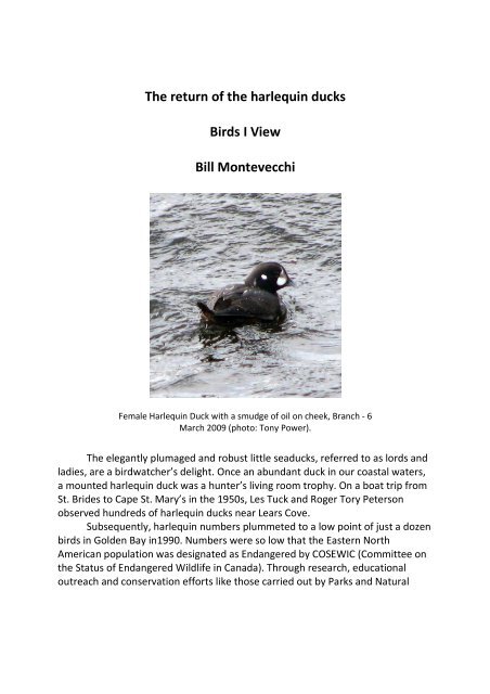 Birds I View 108 -The return of harlequin ducks.pdf - Play Psych Mun