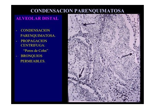 Lesiones elementales..