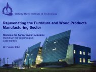 Galway- Mayo Institute Of Technology - The Centre for Cross Border ...