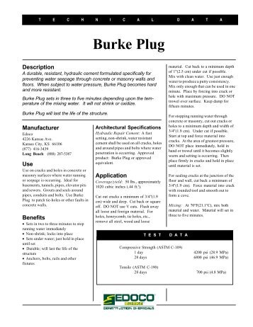 Burke Plug - Public Surplus