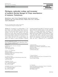 Phylogeny, molecular ecology and taxonomy of southern Iberian ...