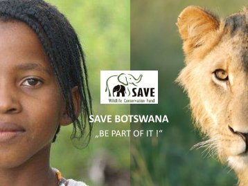 save botswana - SAVE Wildlife Conservation Fund