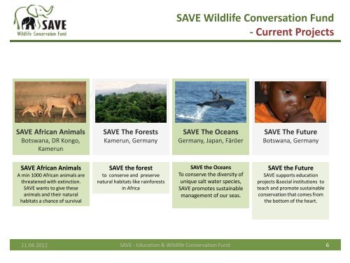 save botswana - SAVE Wildlife Conservation Fund