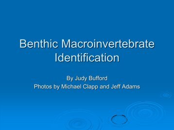 Benthic Macroinvertebrate Identification - Research Vancouver Wsu