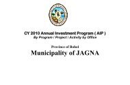 2010 Annual Investment Plan - Jagna