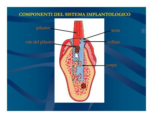 (Microsoft PowerPoint - Denti FINAL2.ppt [modalit\340 compatibilit ...