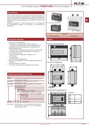 Download - FlowVision GmbH