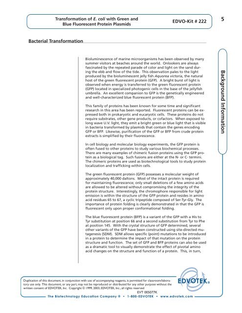 Transformation of E. coli with Green and Blue ... - Frederiksen